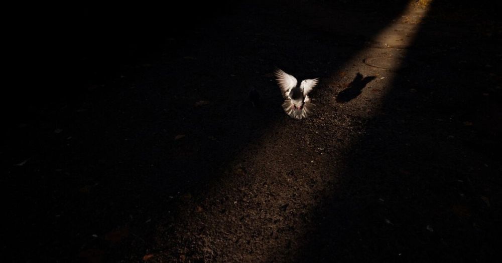 ������������� �������� � ���������� ������� ����������� ������ 21 �������