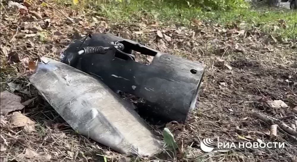 ���������� ���������� ���������� ������������ ����������� ������� �������