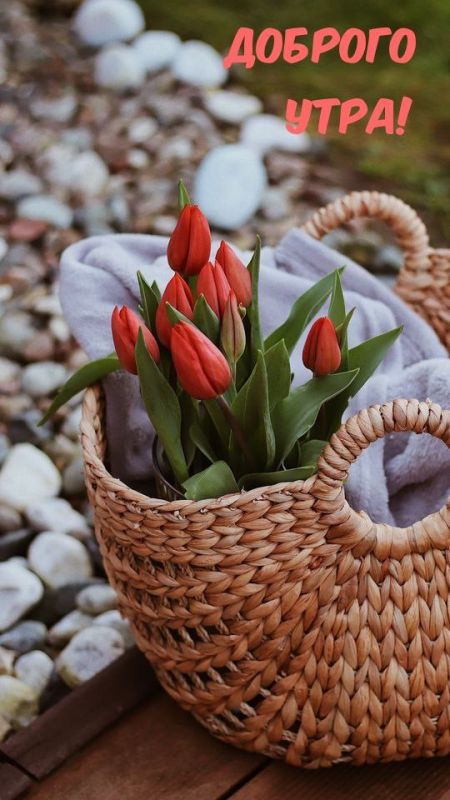 ������ ����. ������� � ������� �������� ������ ������ ��������, � ������� � �������� ��� ����� ��������� ����� ������. ��� �������