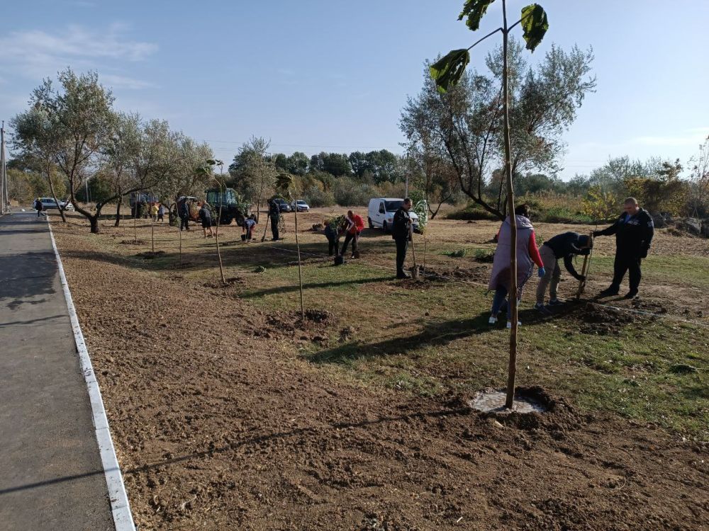 � ������������ ������ ��������� ������������ ��������� �� ���������� ������� � ����������� ��������