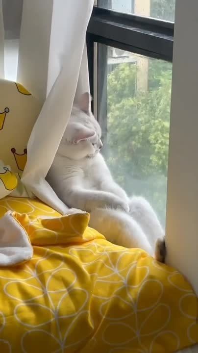 ������ � ������� �� 21 �������: