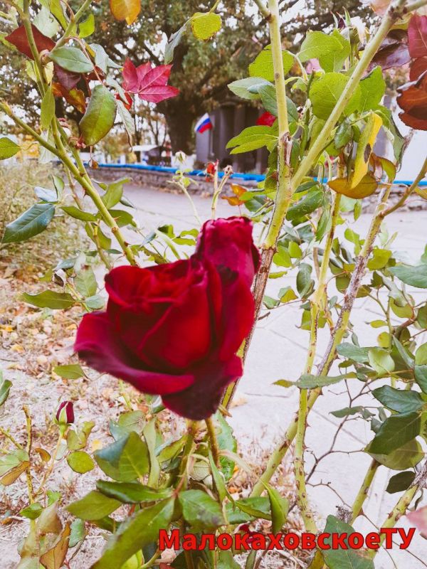 � ������ �����, �����������!