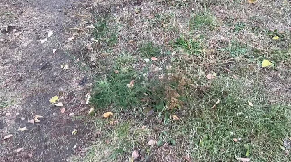 ������� ����� �� ������ ������������ ����� GMLRS ��� ���� M142 HIMARS � M270 MLRS � ����������� ������ �������