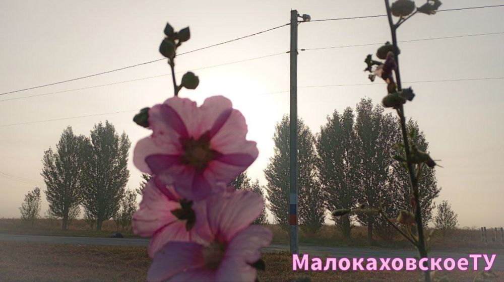 � ������ �����, �����������!