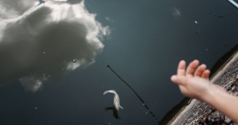 ����� ���������� �������������� ������� � ���������