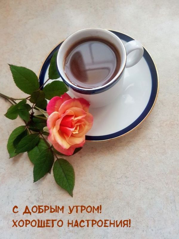 ������ ����. ������� ���� ���� ���� � ������� ����� �����, �� �������, ��������, ������ �������� �� ��������. ��� �������. ����������� �� +13 ����� �� +26 ����