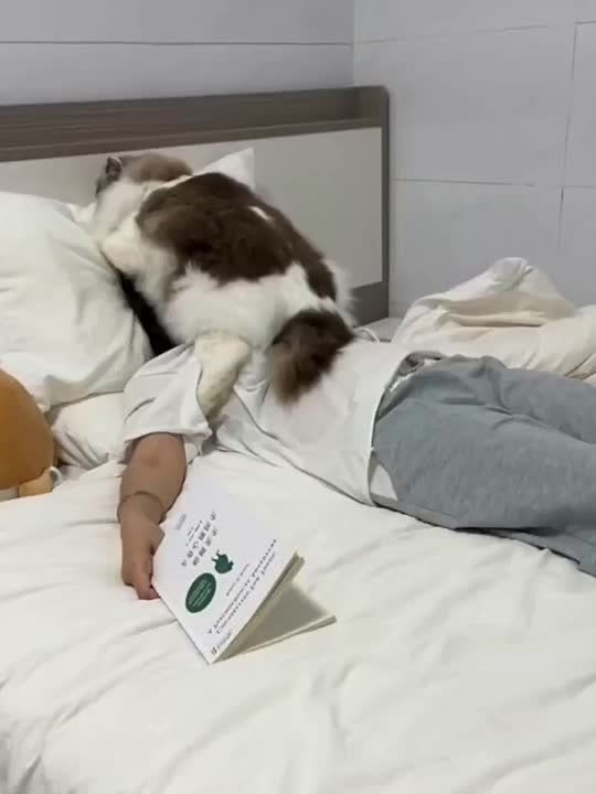 ������ ���� , ������ � ������� 22 �������: