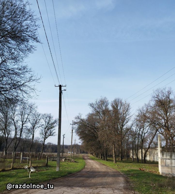 ������ ����, ����������!