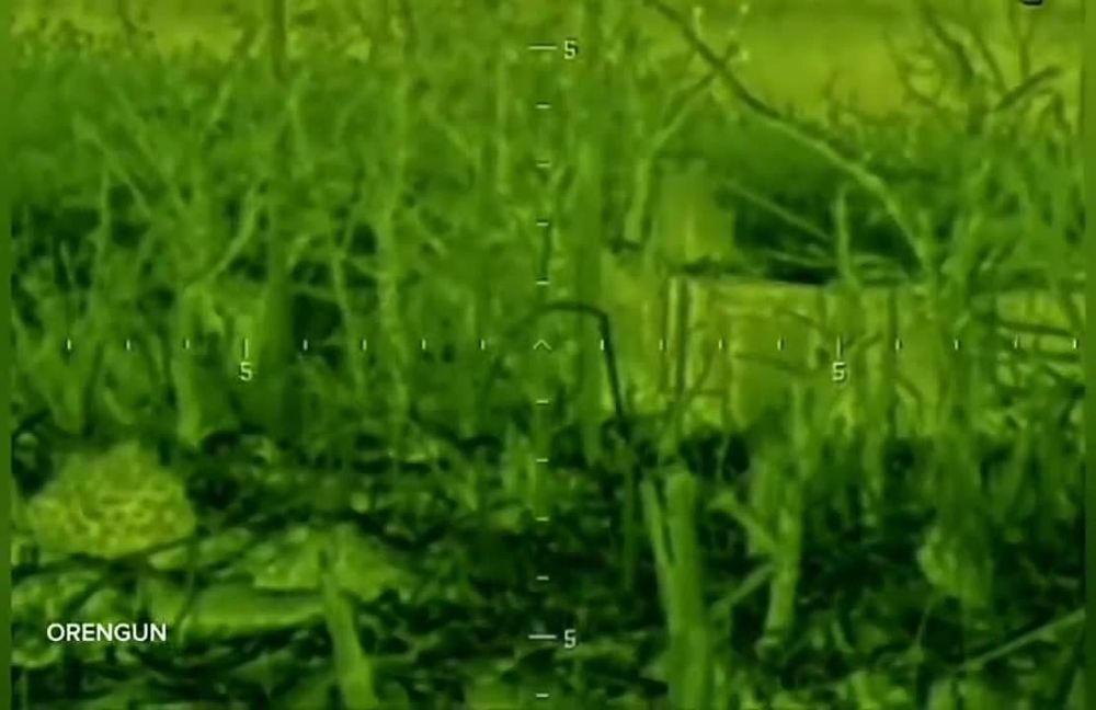 ��������������� ������ ����� ���������