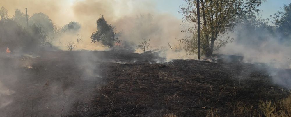 ���������� ������� ���������� �������������� ����� — ������������� 65 ������