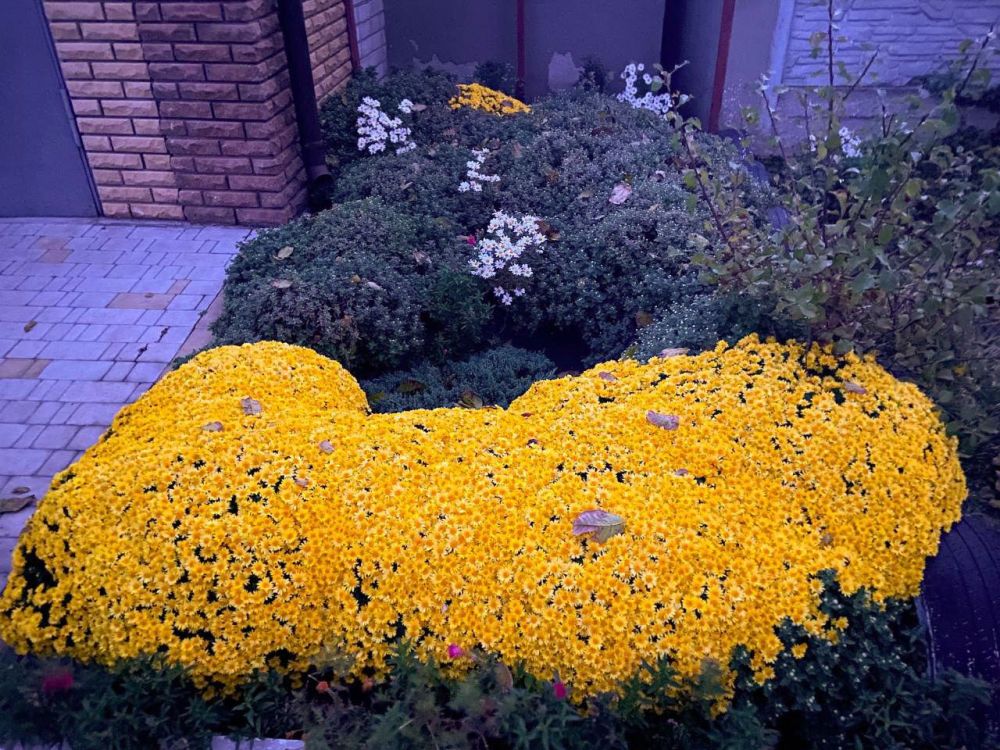 ������������� ���������� ������ ������� ������������ ������� �� ������������� ��. ������� ���� �� ���� �����!