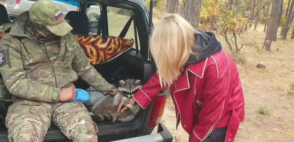 ��� � ����������� � �������� ��� - ���������� ������� ������!