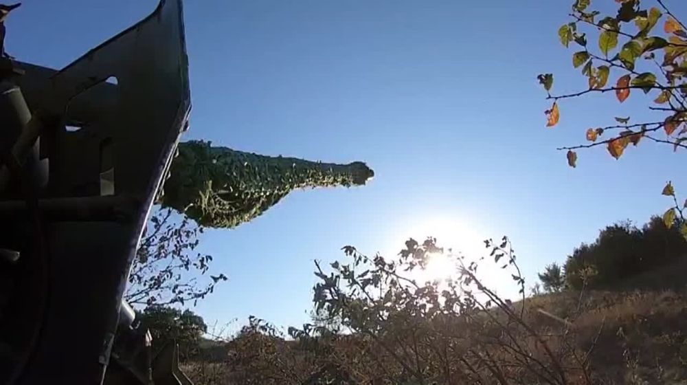 �� ���������� ����������� � ������� ��������������, ������� � ������ ���������� ������� ��������� ������� ������������ �����������-����������������� �������� ��� ���� �����