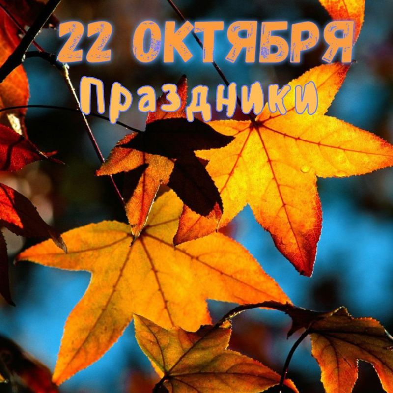 ��������� 22 �������. ������������� ���� ����������� �����