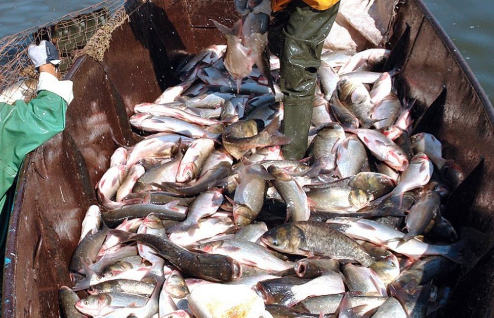 � ��������� ������� ����� �����-������������� ���������� ��������������