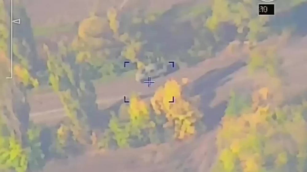 �������������� ����������������� ������������� ������ ����������� ����� ���������� ����� 80 ����� ��� �� ��������-���������� ����������� � ���� ���������� ���