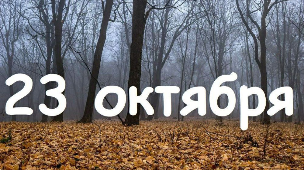 ��������� 23 �������. ���� ���������� ������� ������������� ���� �������� ��������� ���� ���� ������������� ���� ��������...