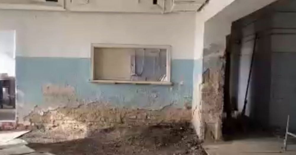 ����� � ���� ����������� ������ ������������� � 2024 ����