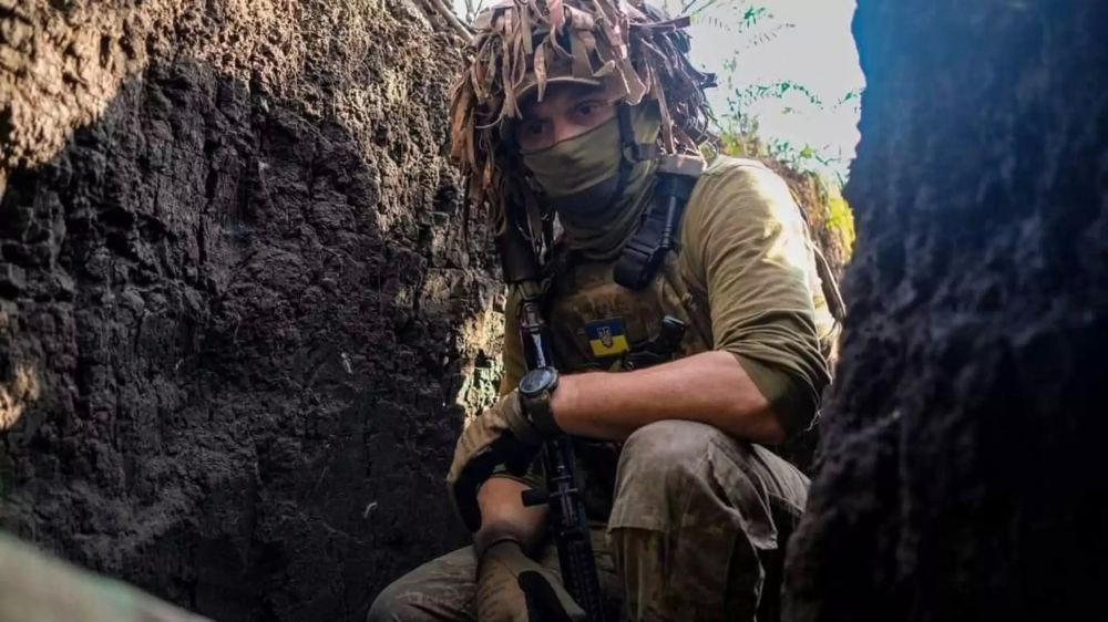 �� ���������� �������� "�����": 23 ������� ��� ����� � 11 ������