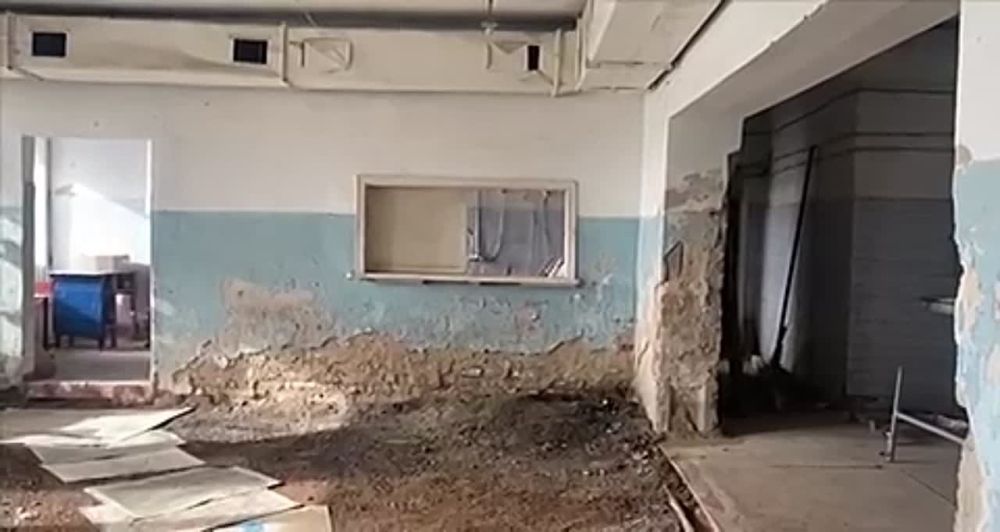 ���-������ ��������� ������� ��������� ������ ������������ ����� � 2024 ����