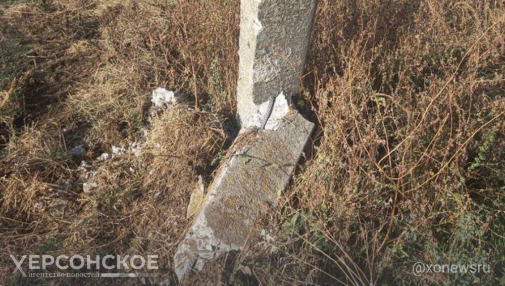 � ���� �������� �������� ������ �� ������������