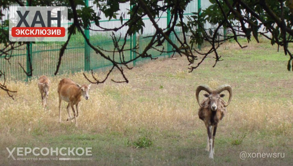 ������������ �������� �� ����������� ��������-���� �� ���������