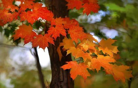 ���� ������ ������ ������� � ���������� �����, �������� ������� ����� ���� ����� � ��?