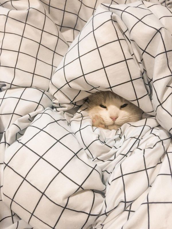 ������ ���� , ������ � ������� 23 �������: