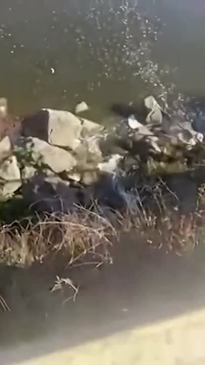 ������� ������, ����!. ��� ��������, �� �� ������������ ������ �������� �� ����, ������ �� �������� ���, �� �����...