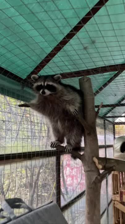 �������-�� �� ����������� � ���� �������