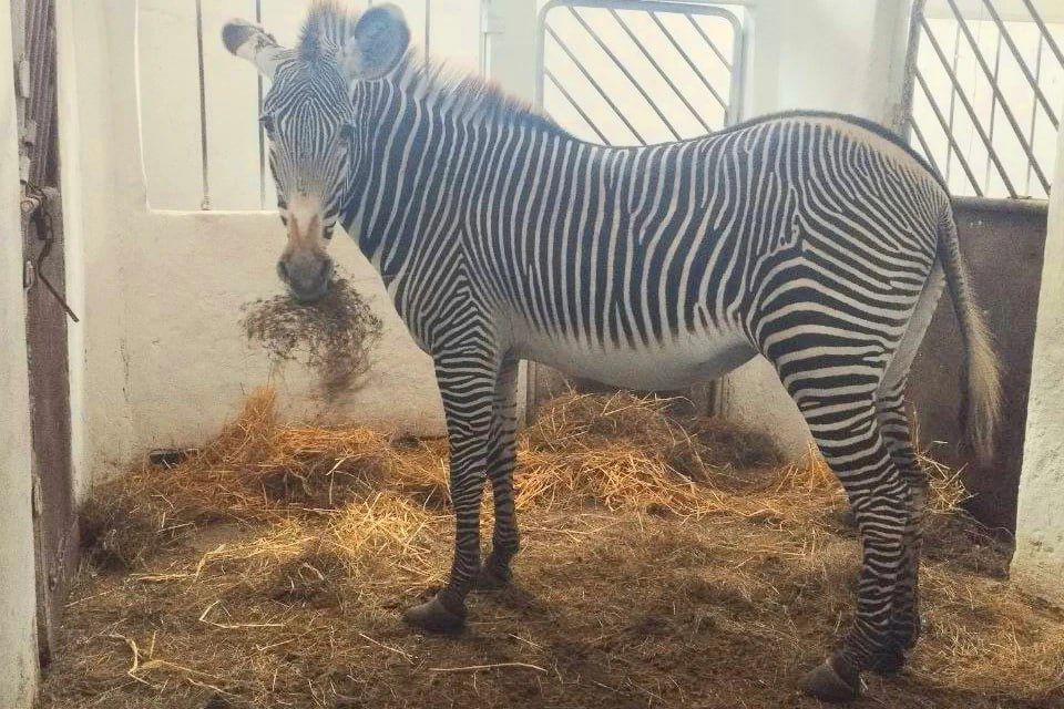 750 ���� ���� � ��������� �� ����: ������������� �������� ��������-���� �������� � ������ �������