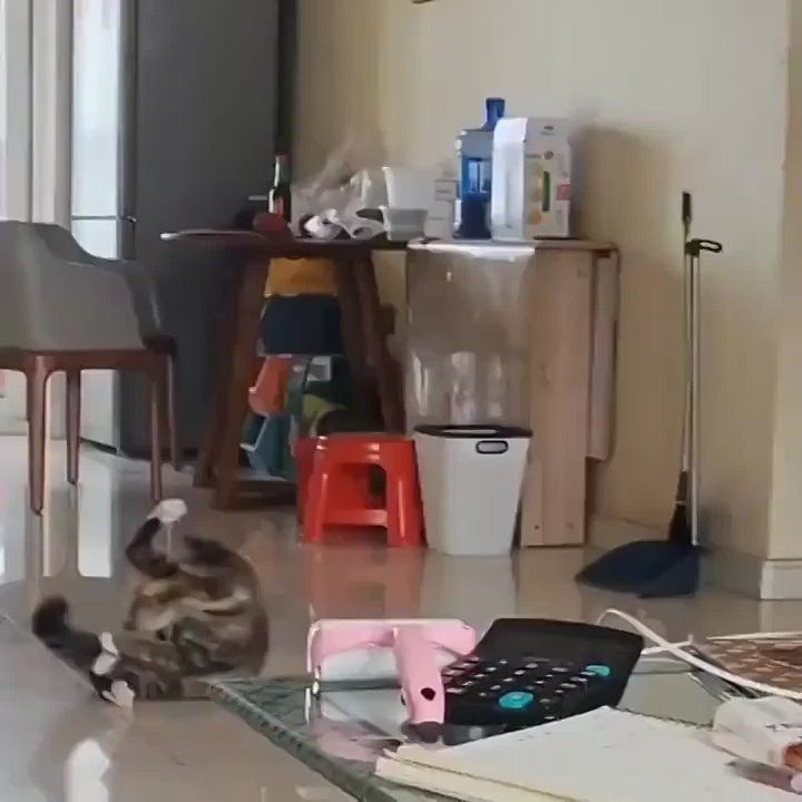 ��� �� ��� ������ � ����������� ����� ���� � ����, ����� ��� ������� ���� �����, ���������� ����������