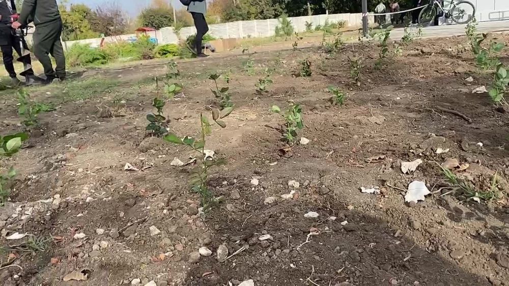 ����� ��� � ��������� �������� ����������� �� ������ ������� ���