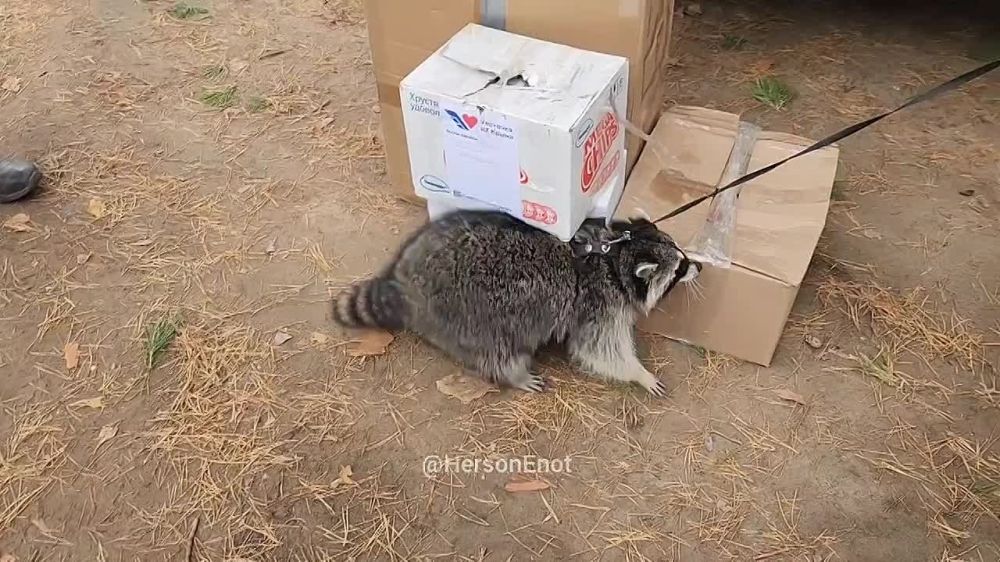 ���� �� �������: ������! ������� ��������� �� ����� �������������� 299 ���������-��������� ���� ���������� �������