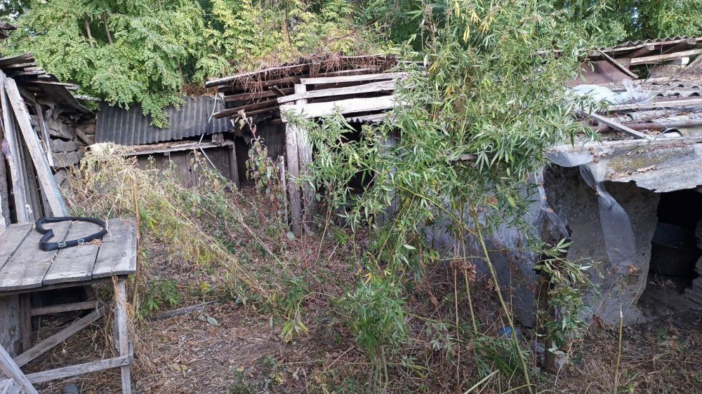 � ������ ����������� ������ ���������� ������� ������ 108 ������ ������� � ������������� ���������