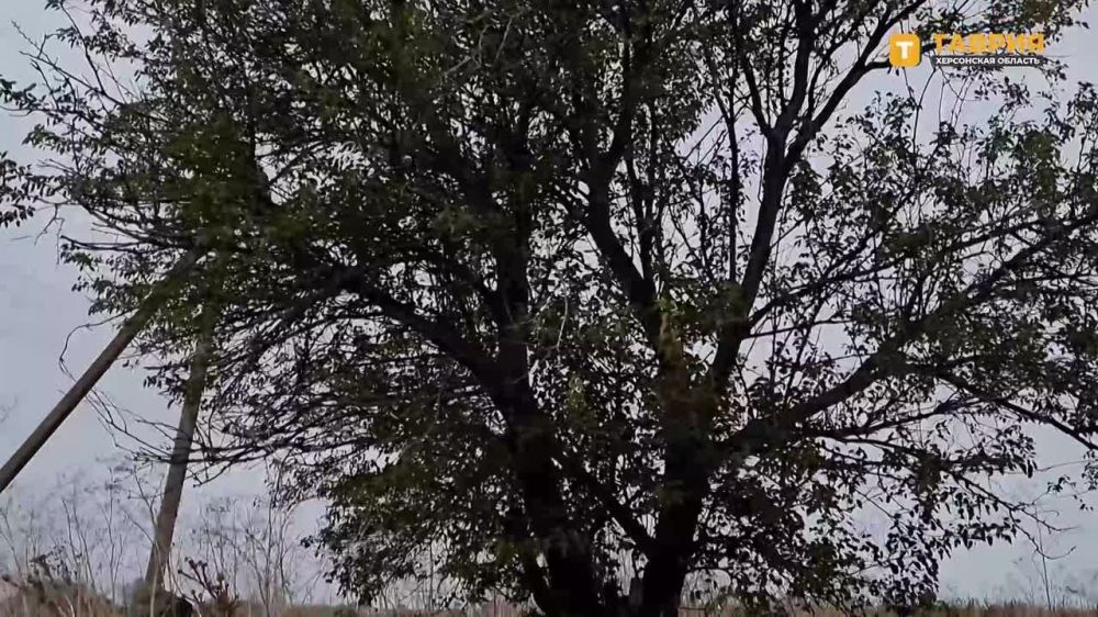 ����� � ����������������� ������ ��������� � �������