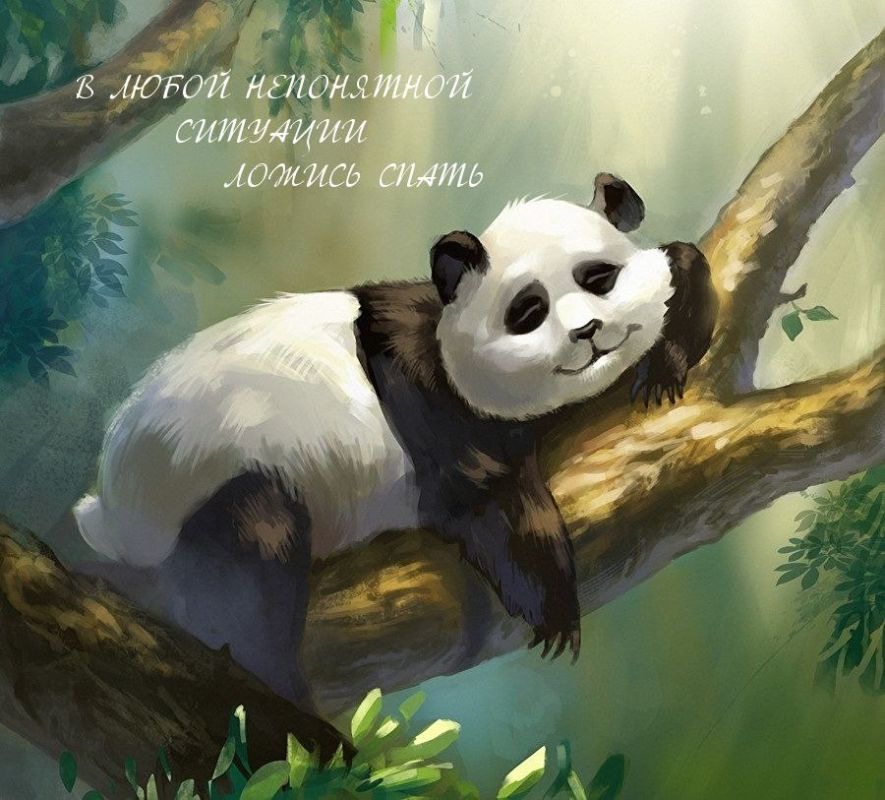 ������ ����. ������ � ������� ��� ���� ��������� ������, ������� ���������� ������ � ������. ���� ������ ������ �����, �� ����� � ������ �� ������ ���������. ����������� �� +10 ����� �� +19 ����