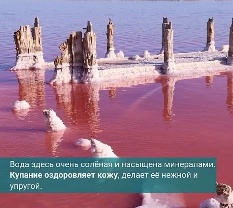 ������ ���������� �������. ������� �� ������������ � ����������� ������� �����