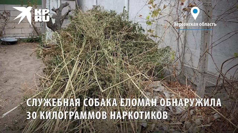 � ������� ������ ������� ����� ������� ������ ��������� � ����������� ����