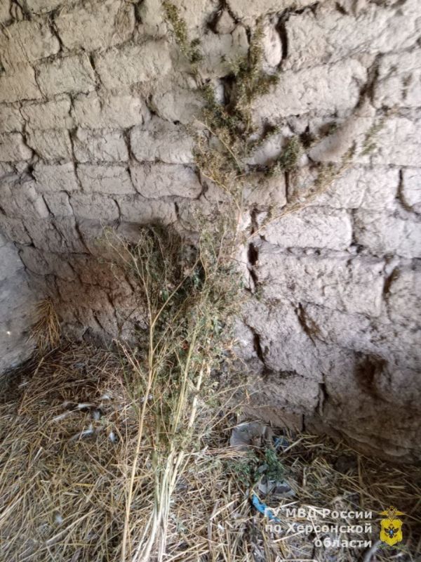 3 �� ������������� ������� ������ � ������ ���������������� ������