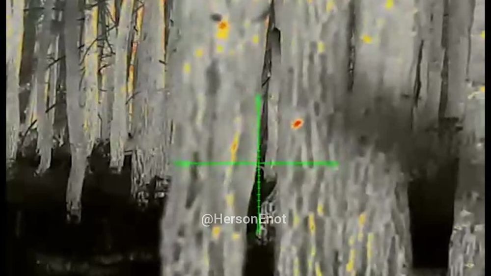 ���� �� �������: � ���� ����� ������������ ����������, ������!