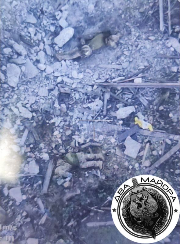 ��� ������: ����� � ������. ���������� �����������