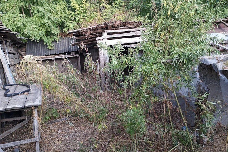 � ������ ����������� ������ ������ 108 ������ ������� � ������������� ���������