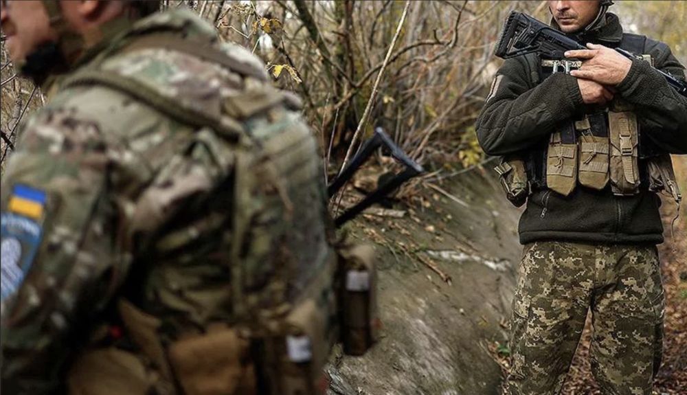 ���������� ������� ���������� ������� ������������ �� ���������� �����������