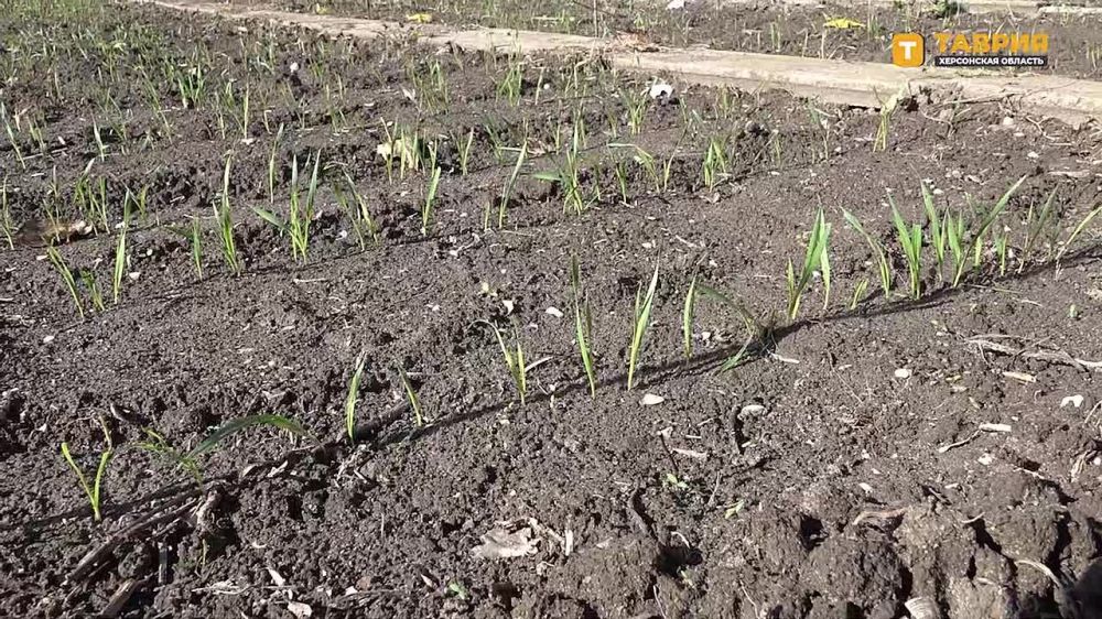 ������-����������������� �������� ���� ���������� ������� ���������� ���� ������