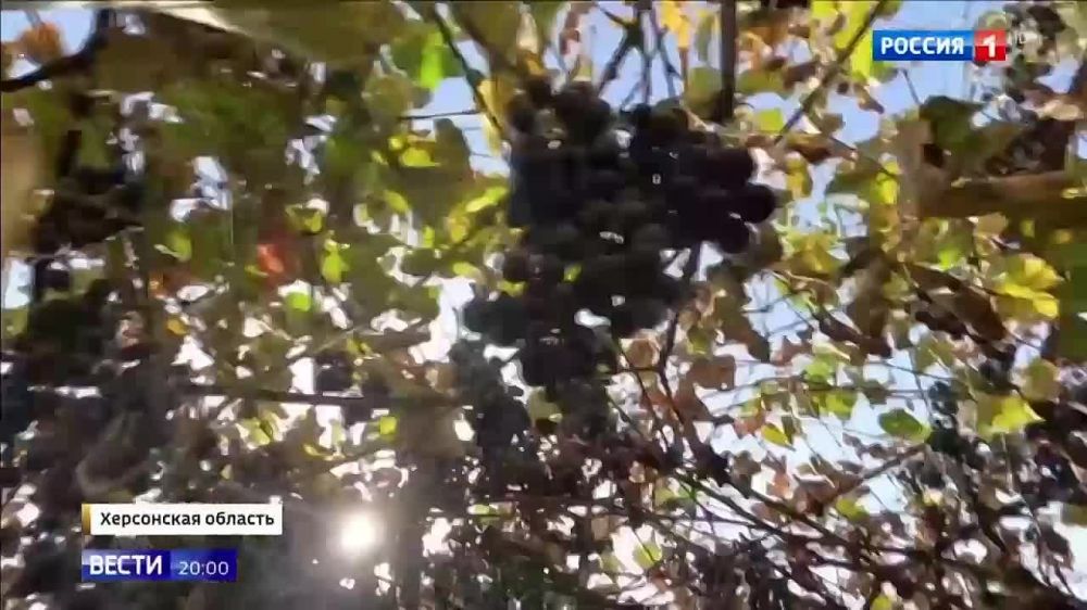 ����� �������-1� �������� ���������� �� ���������� �����������