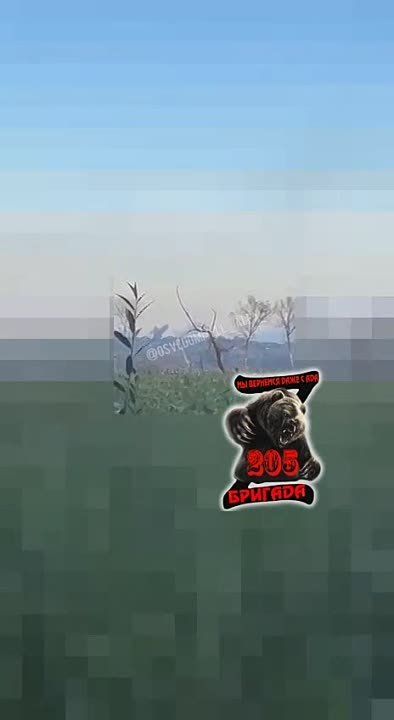 �������� �������� �������������� ���������� ��������