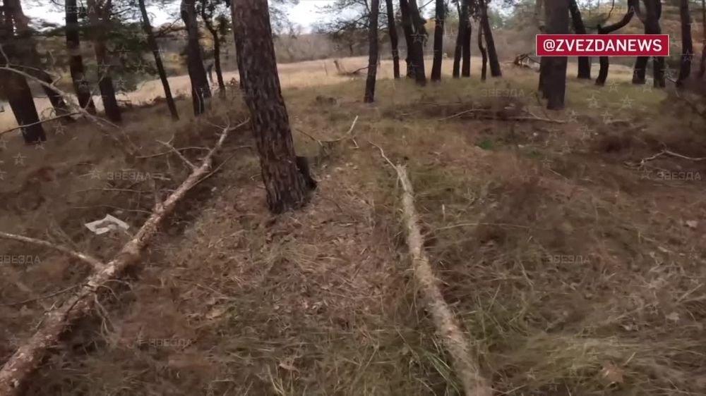 ����������� ��������� ������� ���������� �������� �� �������-���������� �����������