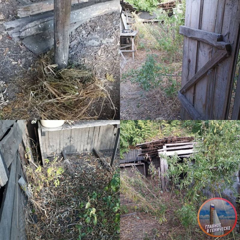 ������ ���� �������� �������� �� �������� ������� ������ ����������