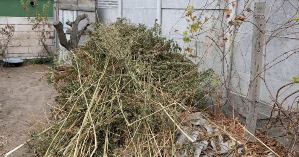 ��������� ������ ������� ���������� ������� ������ ��������� � �������